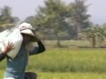 PEMUPUKAN PADI SAWAH.3gp