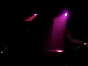 Wolves At Night