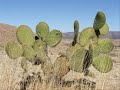 persecucion de pancho villa antonio aguilar