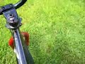 BMX4
