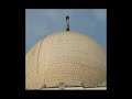 mizar mubarak syed jamaat ali shah saib (muhadis e ali puri)