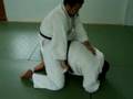Kata Gatame V1