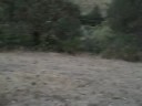 Freeway Golf 2008: Hole 2 with Buford's Drive