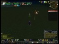 PvE Shadow vs. PvP Mage 2