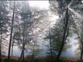 videos de Im Morgenrot-Am kühlenden Morgen