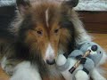 Another song for my baby.He's a bit sleepy here, though.