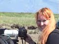 Bear Viewing in Katmai National Park & Preserve
