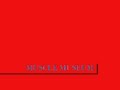Muse Collection of Best Songs Muse Collection of Best Songs