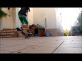 Click here to watch this video Mi película uau.wmv
