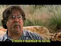 Sicko SOS Saúde - Trailer Sicko SOS Saúde - Trailer