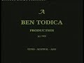 Todica - METAFORA VIETII