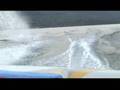 Seagull takes out Kneeboarder