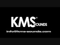 DJ K - KMS Sounds Roadshow - The Professional Urban Roadshow