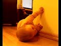 Lilja Panula (7 kk)