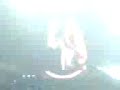 Dj Tiesto - Foro Sol Ciudad de M�xico 2008
