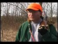 Rabbit Hunting with outdoor Ohio Rabbit Hunting with outdoor Ohio