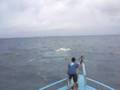 Abrolhos-2007