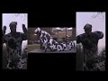 The Adventures of Cow N Cow Trailer