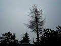 Darmowe filmy - Burza Burza