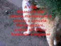 DEDICATO AI POVERI GATTI INDIFESI...DI ANZIO !!!
