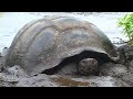 The Galapagos Island , Images of the Enchanted Isles The Galapagos Island , Images of the Enchanted Isles