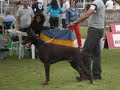 2� Exposi��o Nacional do Estoril