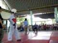 videos de rexor won!