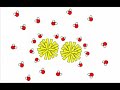 soluble and insoluble