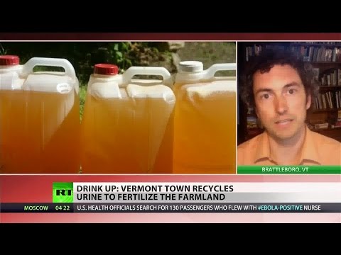 how to fertilize plants with urine