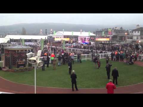 cheltenham races