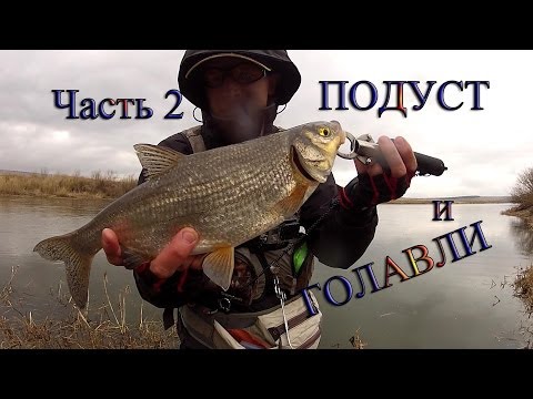YouTube Трейлер