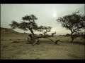 Shir La ma" alot Yosef Karduner Tehilim 121 Song of Ascents תהילם