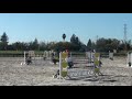 Connie - Jumpers 3ft 6