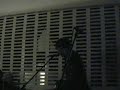Arrows - Don\ Arrows - Don\