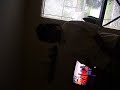 Myia doin her 