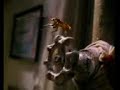 Roaches alert!