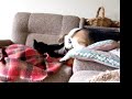 Belle & Beau Belle & Beau