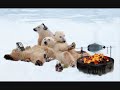 que opinas del global warming