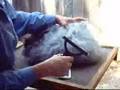 Angora Groomimg: Part1 BunnyCentral.com