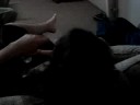 You are abusive today