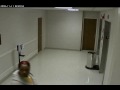 Hospital Purse Snatcher