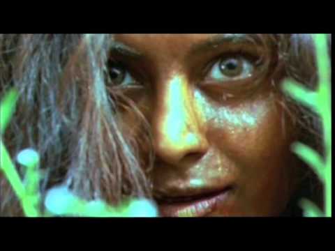Bodhi videos.