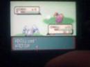 Emulador GBA Rokr E2