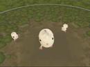 Spore Creature Creator: Tiddles