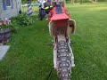 this is my honda cr125