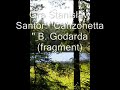 Gra Stanis?aw Santor - Canzonetta B. Godarda.wmv