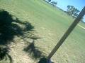 videos de Golf buggy gone wrong