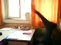 arkadash kayboluyor