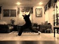 HIPHOP DANCE by Bgirlkido