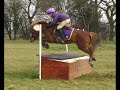 Boomerang '09